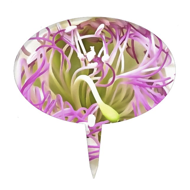 Caper Flower Blossom Botanical Art Cake Topper (Front)