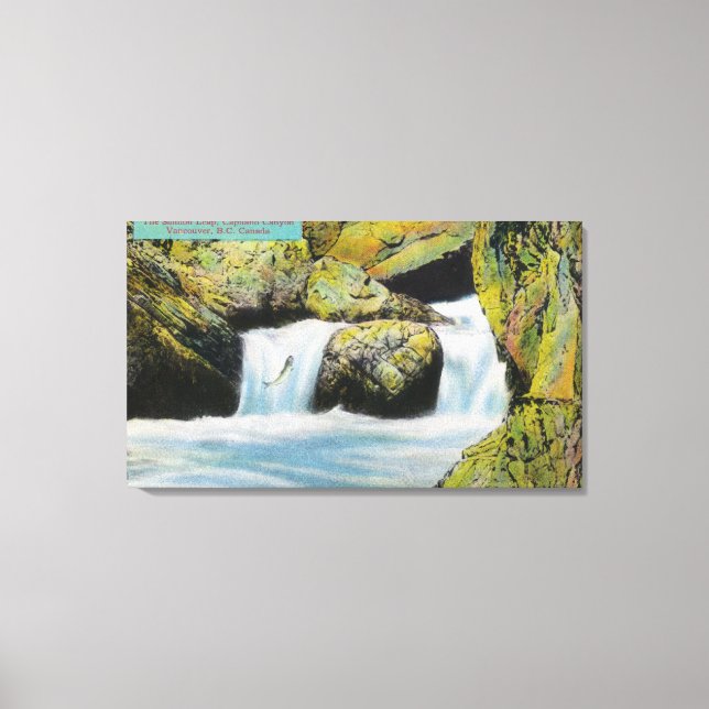 Capilano Canyon View of Salmon Leaping Upstream Canvas Print (Front)