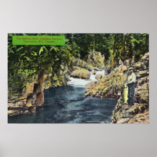 Capilano Canyon View of the Salmon Pool Poster