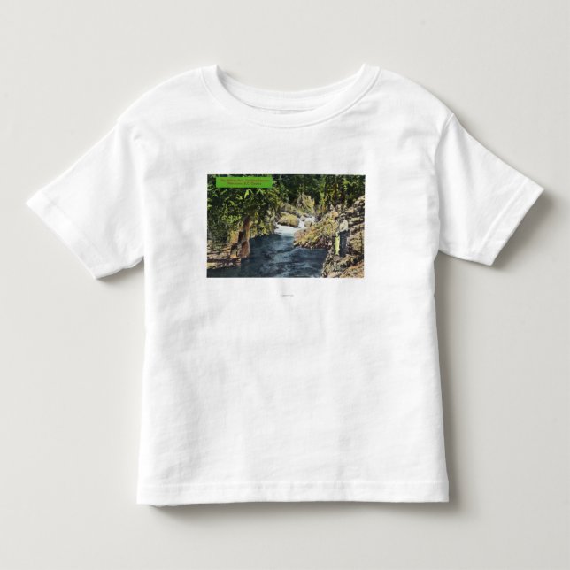 Capilano Canyon View of the Salmon Pool Toddler T-shirt (Front)