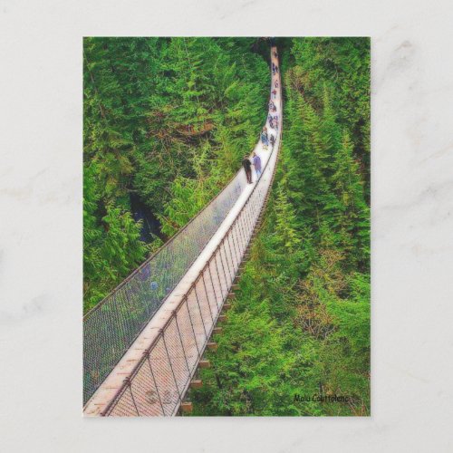 Capilano Suspension Bridge Postcard