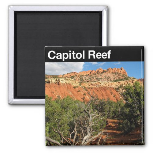 Capital Reef National Park Magnet