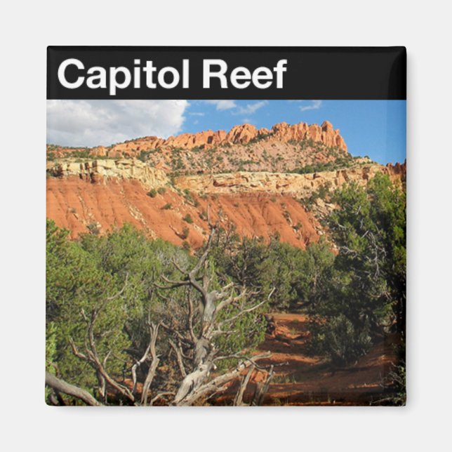 Capital Reef National Park Magnet (Front)
