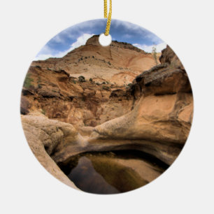 CAPITAL REEFS CERAMIC ORNAMENT