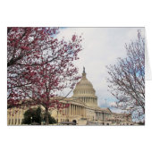 Capitol and Cherry blossoms (Front Horizontal)