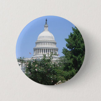 Capitol Building from Bartholdi Park Button
