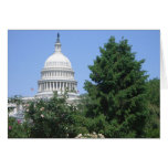 Capitol Building from Bartholdi Park Cards