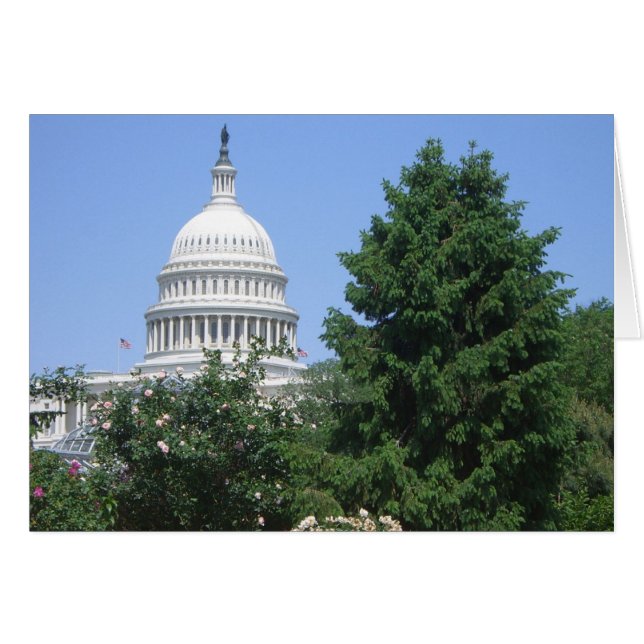 Capitol Building from Bartholdi Park Cards (Front Horizontal)