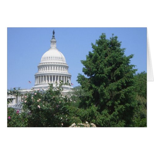Capitol Building from Bartholdi Park in Washington