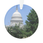 Capitol Building from Bartholdi Park in Washington Ornament