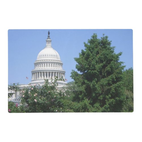 Capitol Building from Bartholdi Park in Washington Placemat