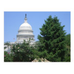 Capitol Building from Bartholdi Park in Washington Postcard