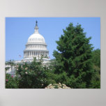 Capitol Building from Bartholdi Park in Washington Poster