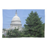 Capitol Building from Bartholdi Park Kitchen Towel