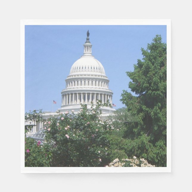Capitol Building from Bartholdi Park Napkins (Front)