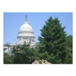 Capitol Building from Bartholdi Park Photo Print