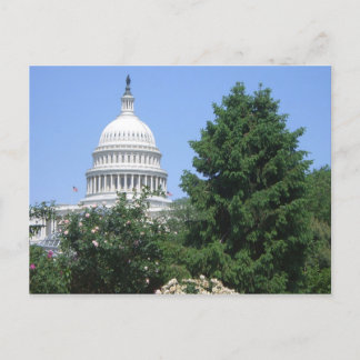 Capitol Building from Bartholdi Park Postcard