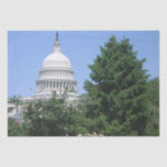 Capitol Building from Bartholdi Park Tissue Paper