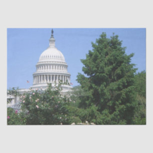 Capitol Building from Bartholdi Park Tissue Paper