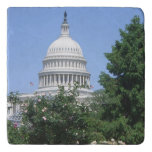 Capitol Building from Bartholdi Park Trivet