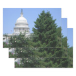 Capitol Building from Bartholdi Park Wrapping Paper Sheets