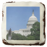 Capitol Building in Washington DC Brownie