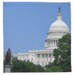 Capitol Building in Washington DC Cloth Napkin