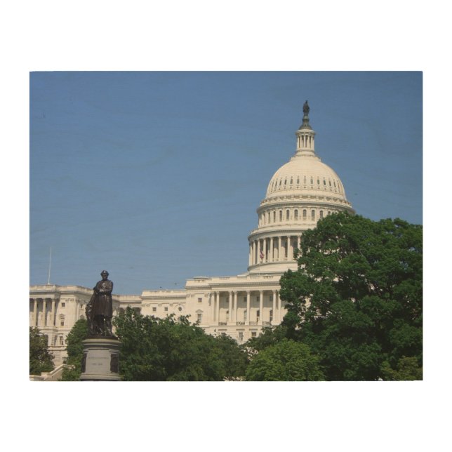 Capitol Building in Washington DC Wood Wall Art (Front)