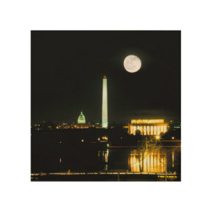 Capitol Building, Lincoln Memorial, Washington Wood Wall Art