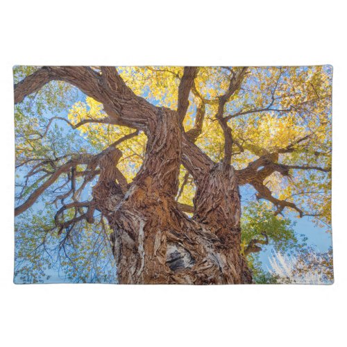Capitol Reef National Park Cottonwood Tree Cloth Placemat