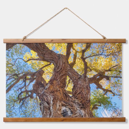 Capitol Reef National Park Cottonwood Tree Hanging Tapestry