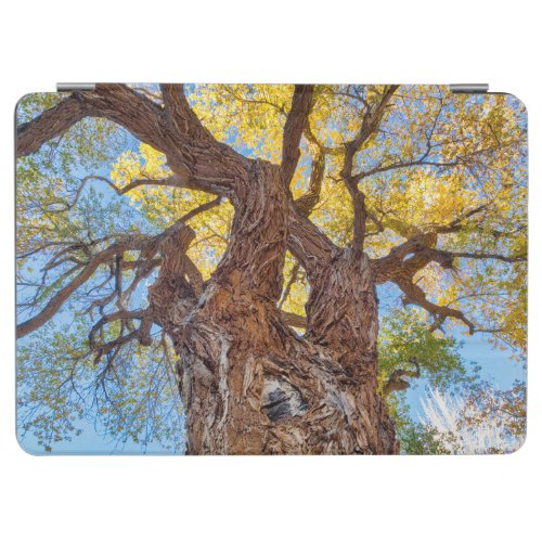 Capitol Reef National Park Cottonwood Tree iPad Air Cover