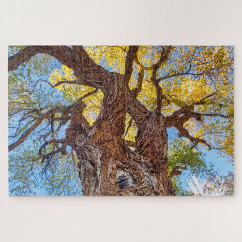 Capitol Reef National Park Cottonwood Tree Jigsaw Puzzle