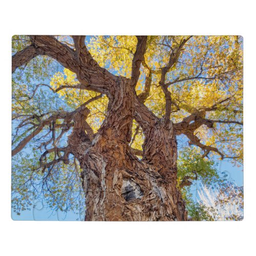 Capitol Reef National Park Cottonwood Tree Jigsaw Puzzle