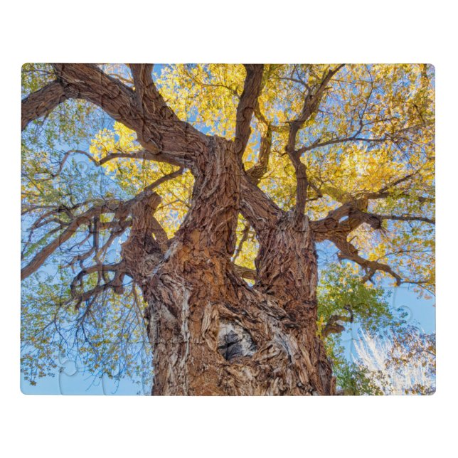 Capitol Reef National Park, Cottonwood Tree Jigsaw Puzzle (Puzzle Horizontal)