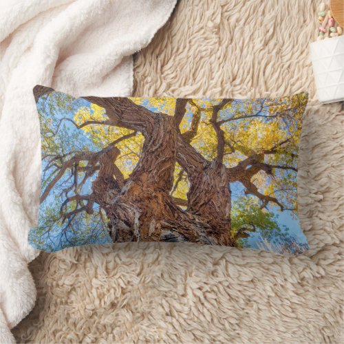 Capitol Reef National Park Cottonwood Tree Lumbar Pillow