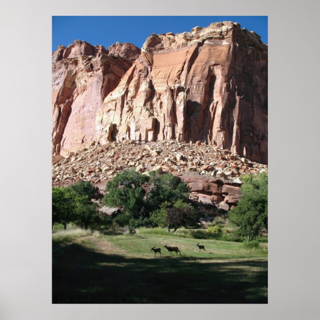 Capitol Reef National Park Poster (Front)