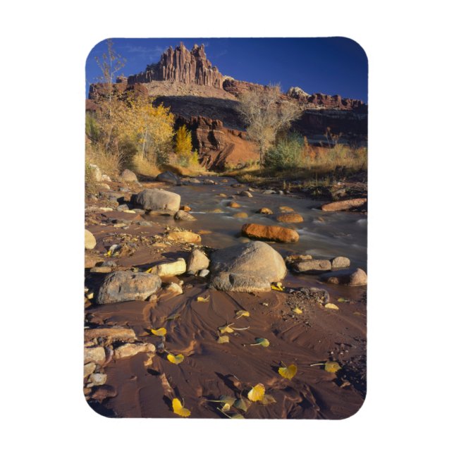 CAPITOL REEF NATIONAL PARK, UT, US, Cottonwood Magnet (Vertical)