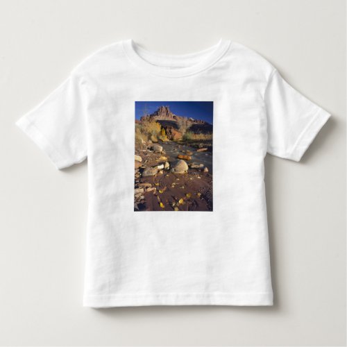 CAPITOL REEF NATIONAL PARK UT US Cottonwood Toddler T_shirt
