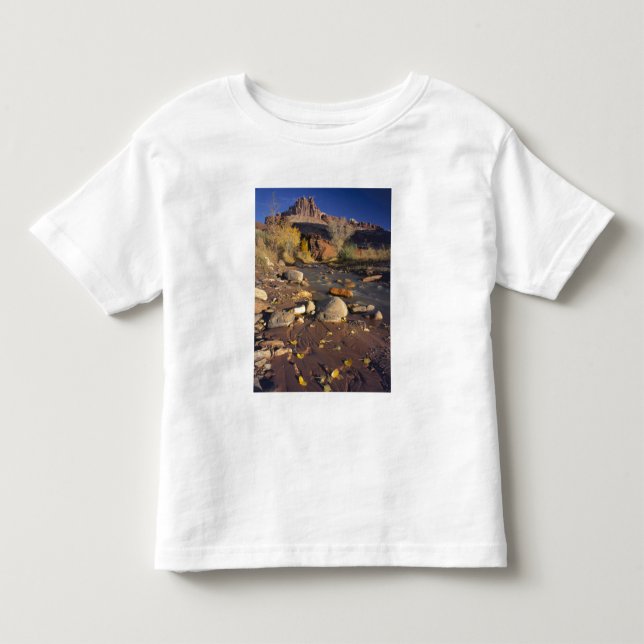 CAPITOL REEF NATIONAL PARK, UT, US, Cottonwood Toddler T-shirt (Front)