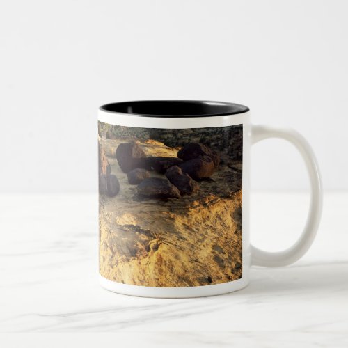 CAPITOL REEF NATIONAL PARK UTAH USA Two_Tone COFFEE MUG