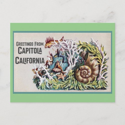 Capitola California Mermaid Postcard