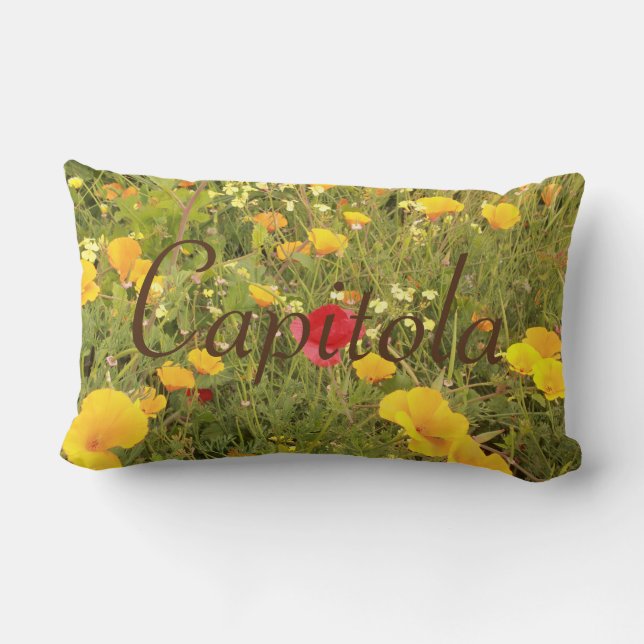 Capitola with flower garden lumbar pillow (Back)