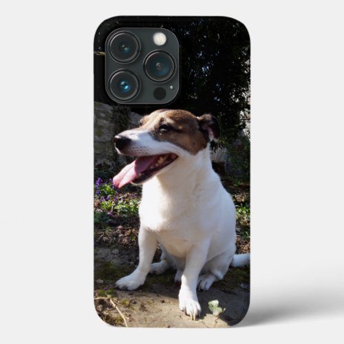 Capo von Oppenheim Jack Russell Terrier Dog iPhone 13 Pro Case