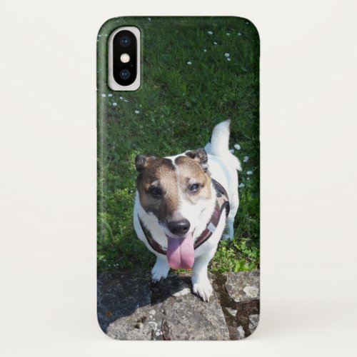 Capo von Oppenheim Jack Russell Terrier Dog iPhone XS Case