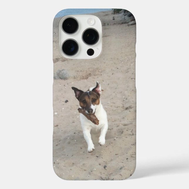 Capo von Oppenheim Jack Russell Terrier, Dog Case-Mate iPhone Case (Back)