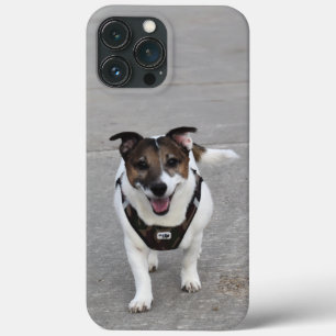 Capo von Oppenheim, Jack Russell Terrier Dog iPhone 13 Pro Max Case