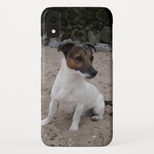 Capo von Oppenheim Jack Russell Terrier Dog iPhone XR Case