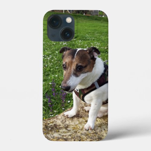 Capo von Oppenheim Jack Russell Terrier Dog iPhone 13 Mini Case