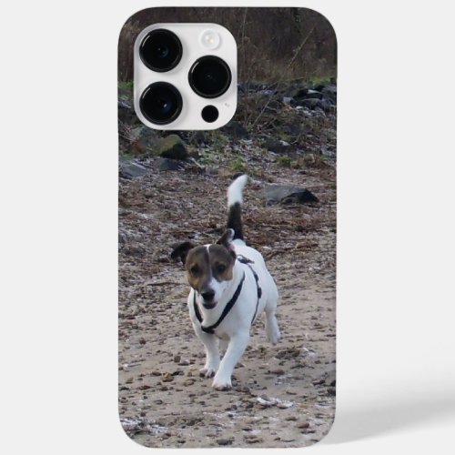 Capo von Oppenheim Jack Russell Terrier Dog Case_Mate iPhone 14 Pro Max Case